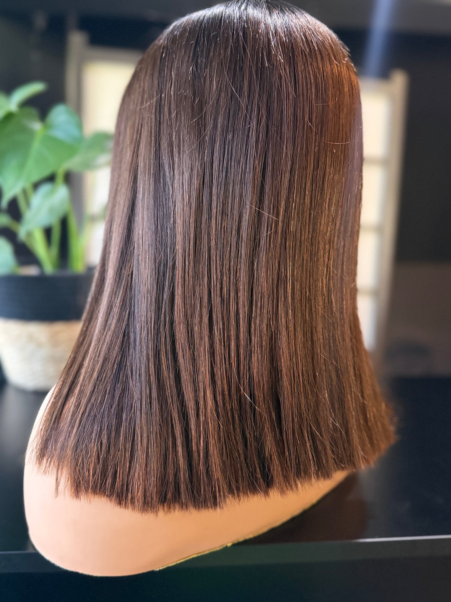 14 5x5 Glueless Brown wig